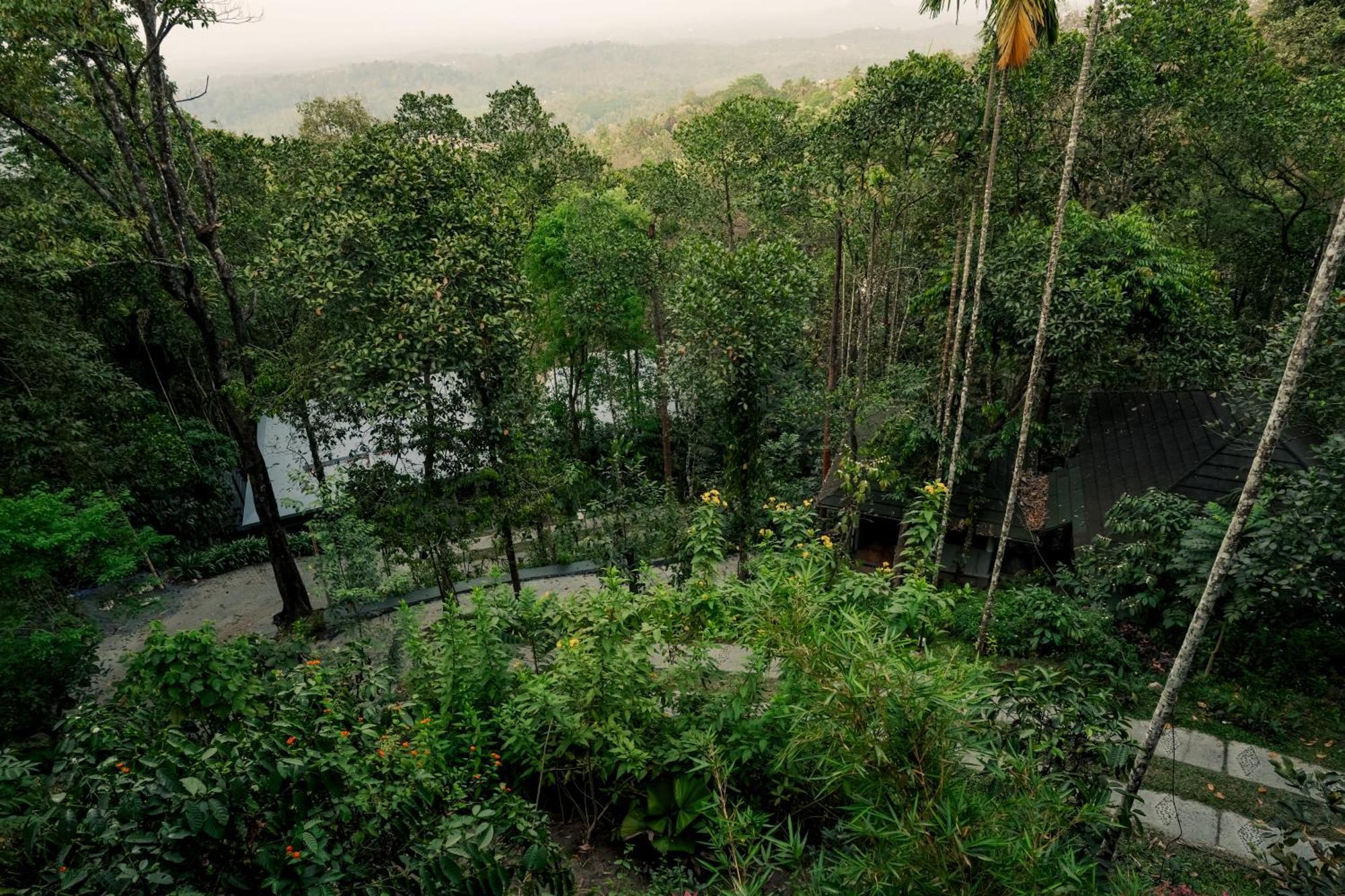 The Hive, Wayanad Exterior foto